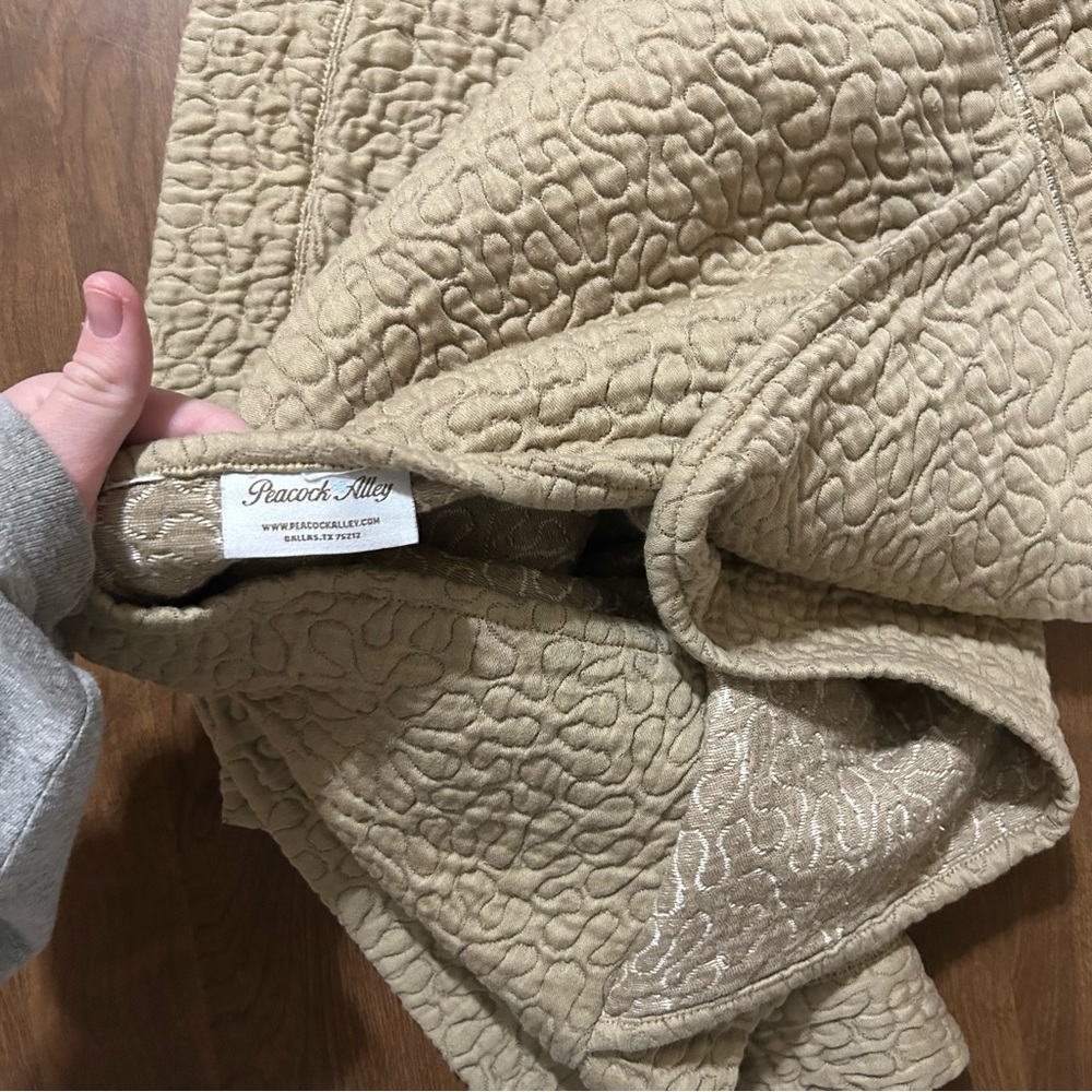 Luxurious Peacock Alley pillow sham